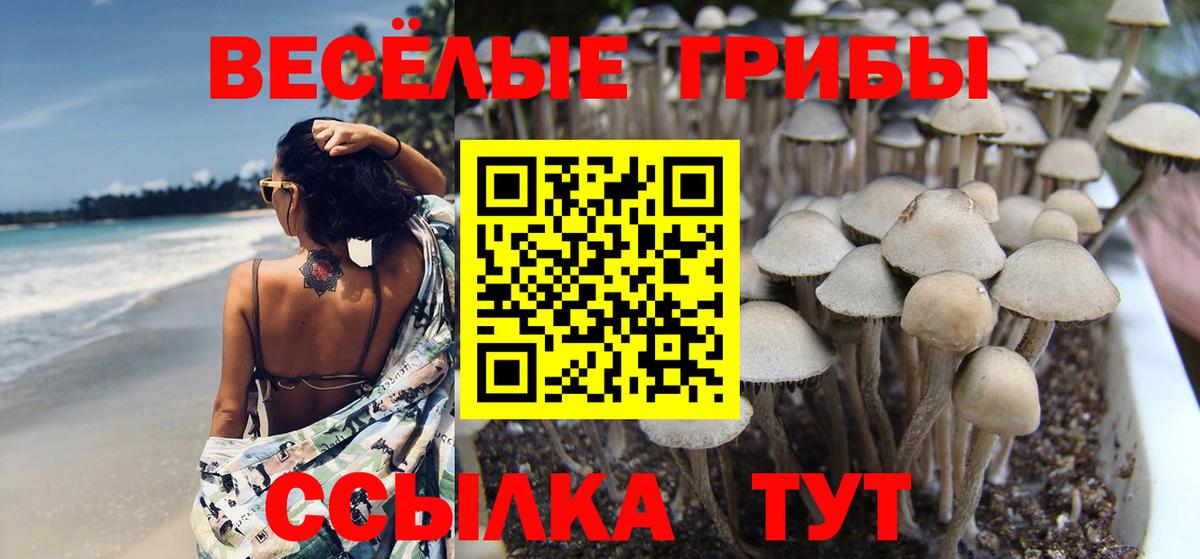 Галлюциногенные грибы мухоморы  Вход с VPN  Борзя 