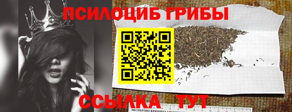 Псилоцибиновые грибы мицелий Борзя